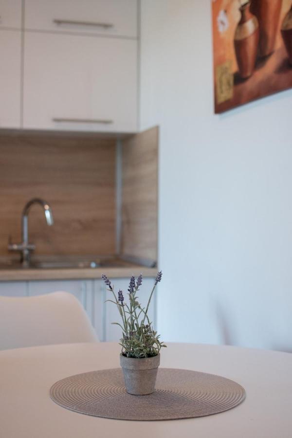 Lavanda House With Apartments Buje Exterior foto